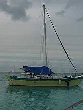 sx.JPG
