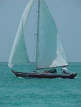 7887.JPG