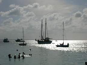 frhrFoolsregatta005.jpg
