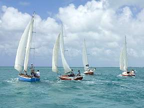 nSailboatsSJP172.jpg
