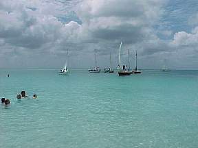 175.JPG