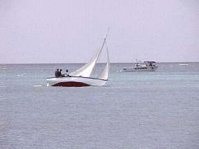 256.jpg