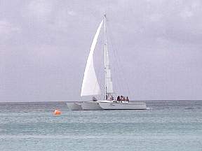 257.jpg