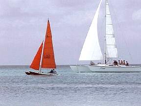 258.jpg