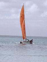 258a.jpg