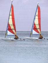 258c.jpg