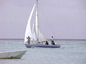 258d.jpg