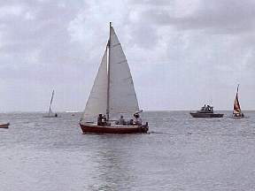 258e.jpg