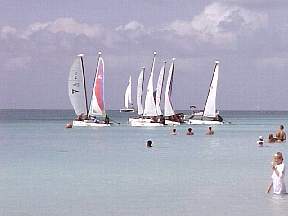 258f.jpg