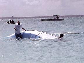 278d.jpg