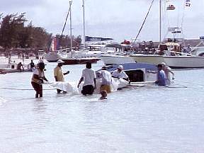 279.jpg