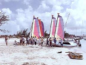 283.jpg