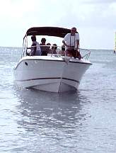 284.jpg