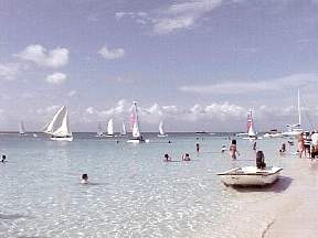 305.jpg