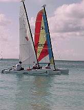334.JPG