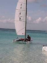 335.JPG