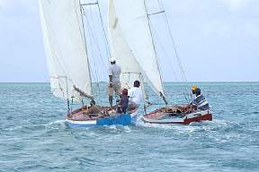 sp32.jpg
