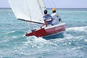 sp37.jpg