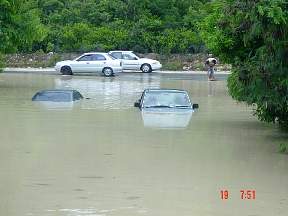 FloodLiz1.jpg