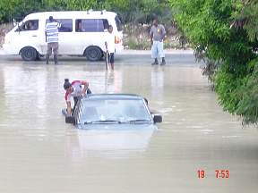 FloodLiz2.jpg