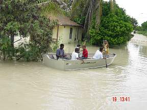 FloodLiz3.jpg
