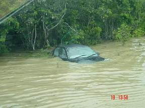 FloodLiz4.jpg