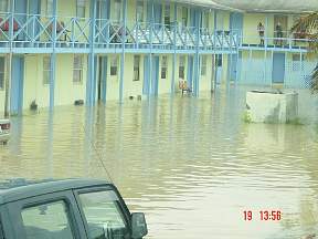 FloodLiz5.jpg