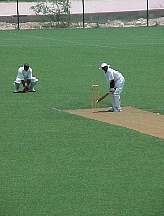 MVC058F.JPG